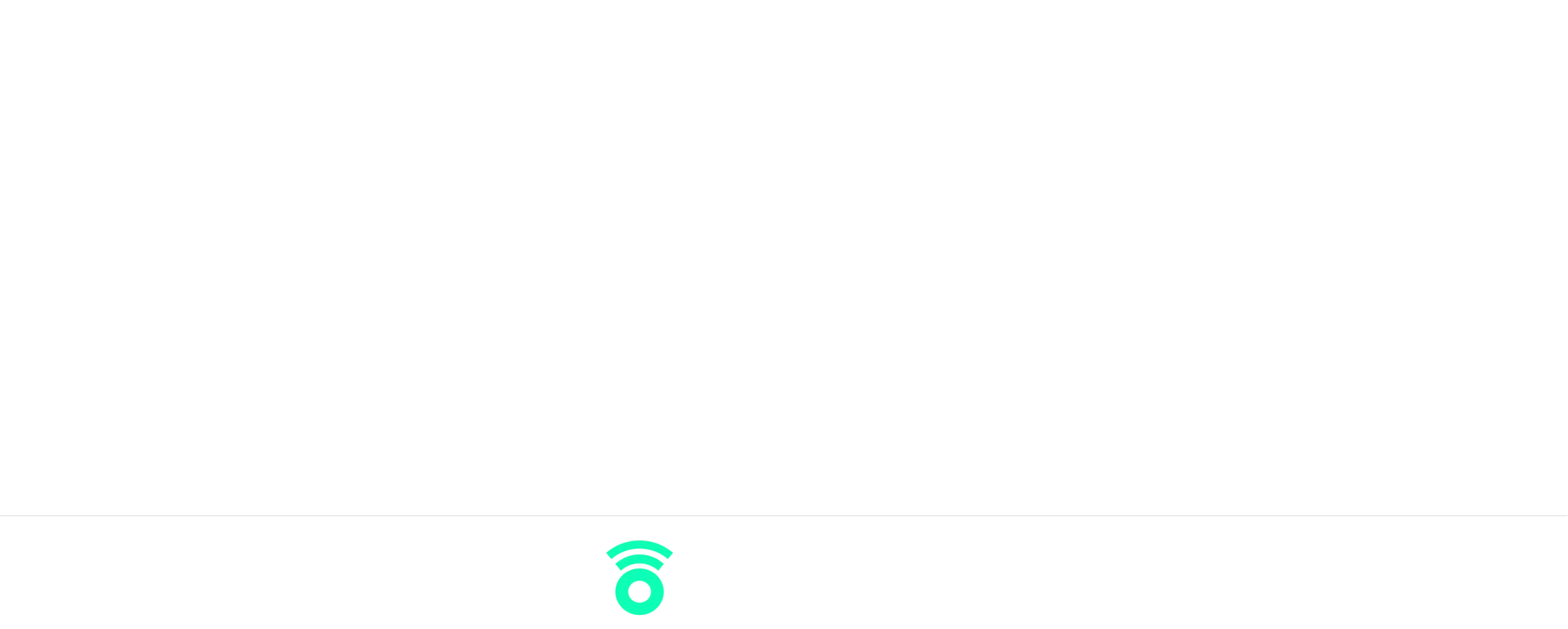 Footer Logo